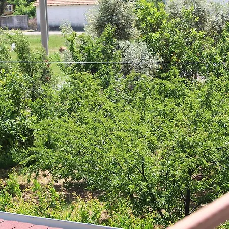 Alinda 4* داليان